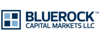 Bluerock Capital logo