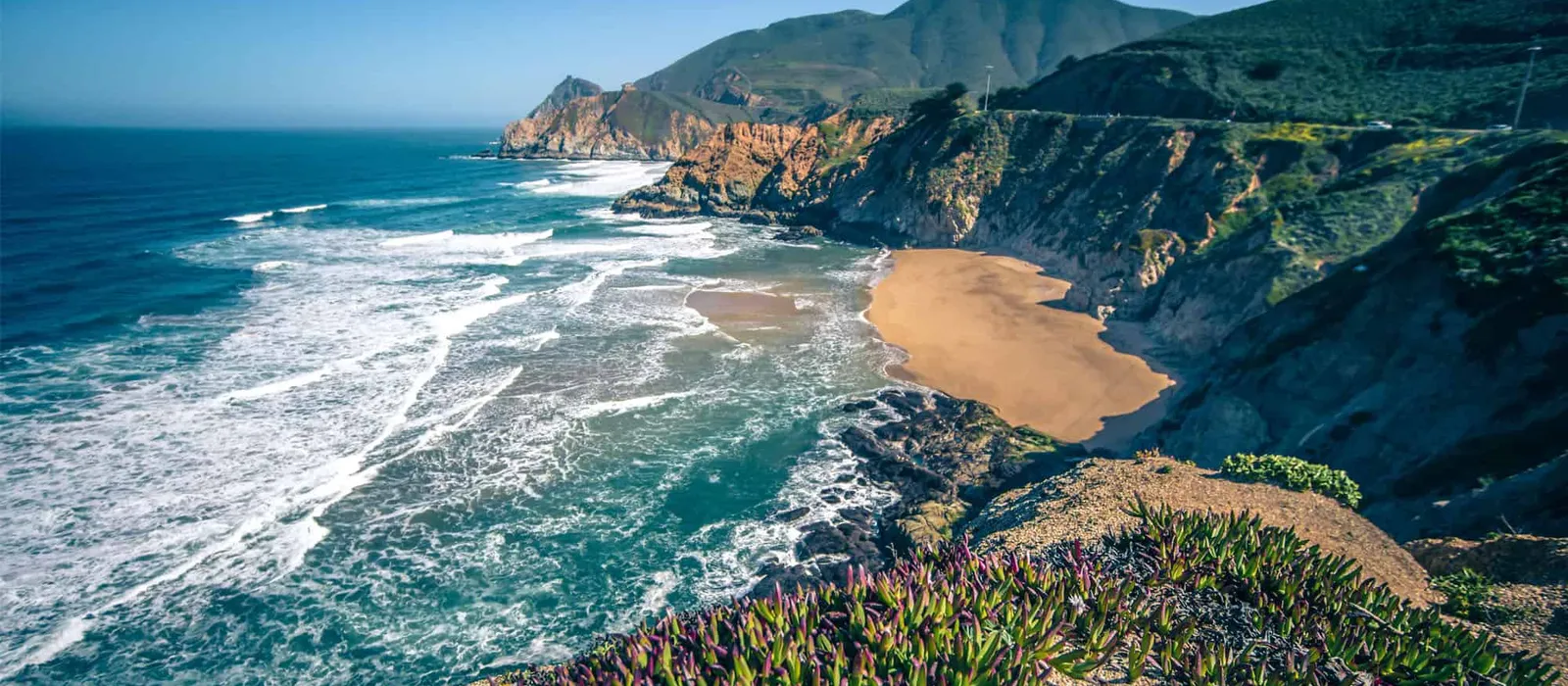 Cove with surf and coastal wildflowers