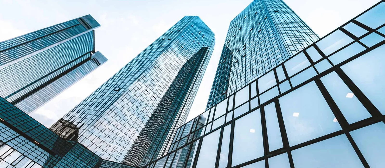 Glass office towers seen from street level