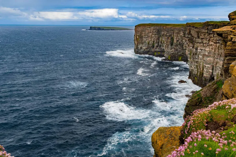 Sea cliffs with wildflowers above the ocean